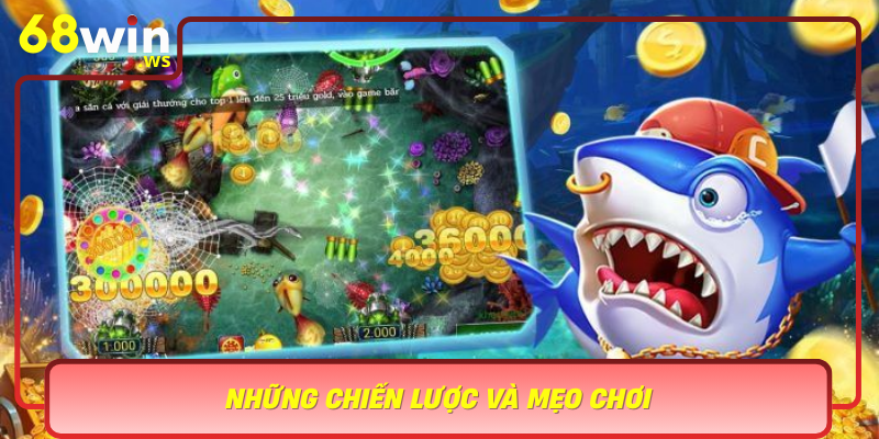 Nhung Chien Luoc Va Meo Choi Giup Ban Chinh Phuc Ban Ca Chau Au Mot Cach De Dang