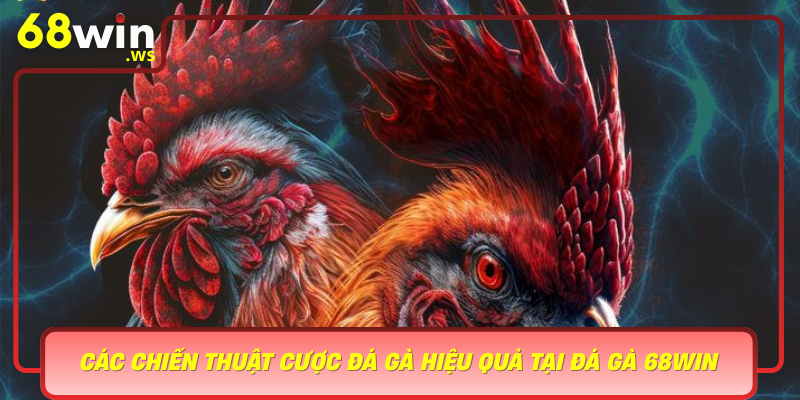 Cac Chien Thuat Cuoc Da Ga Hieu Qua Tai Da Ga 68Win