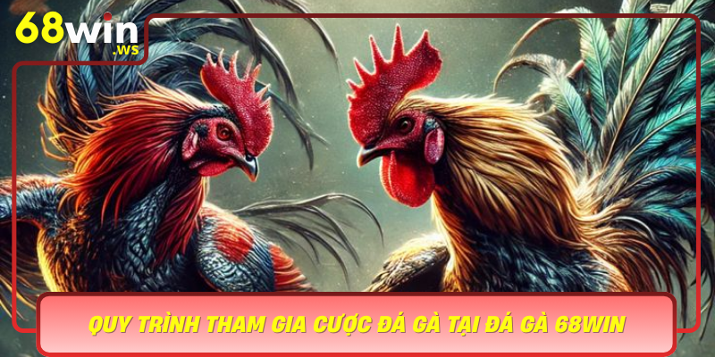 Quy Trinh Tham Gia Cuoc Da Ga Tai Da Ga 68Win